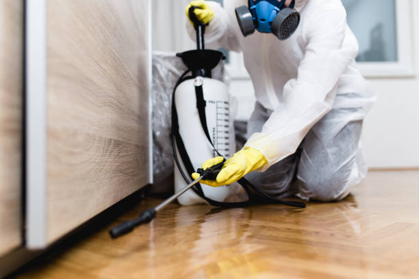 Best Affordable Pest Control Services  in Tonto Basin, AZ