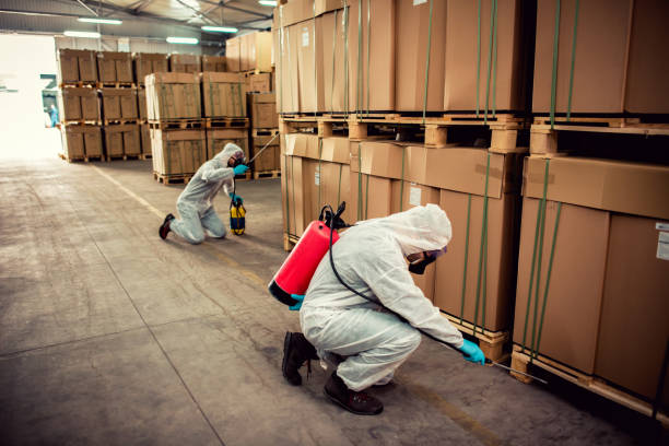 Best Pest Control for Businesses  in Tonto Basin, AZ