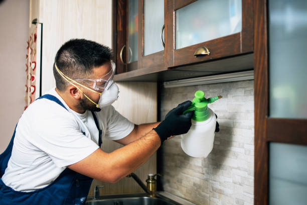 Best Best Pest Control Near Me  in Tonto Basin, AZ