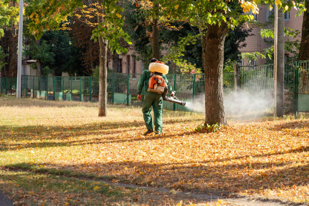 Best Local Pest Control Services  in Tonto Basin, AZ