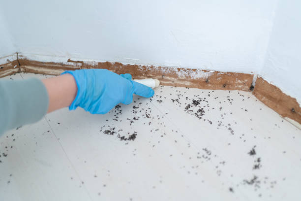 Pest Control Cost in Tonto Basin, AZ