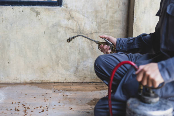 Best Cockroach Control Services  in Tonto Basin, AZ